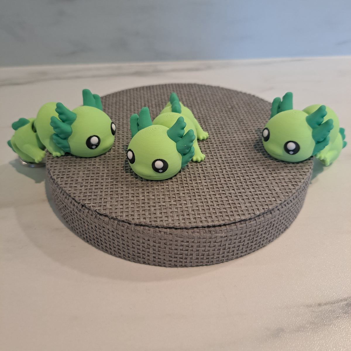 Axolotl