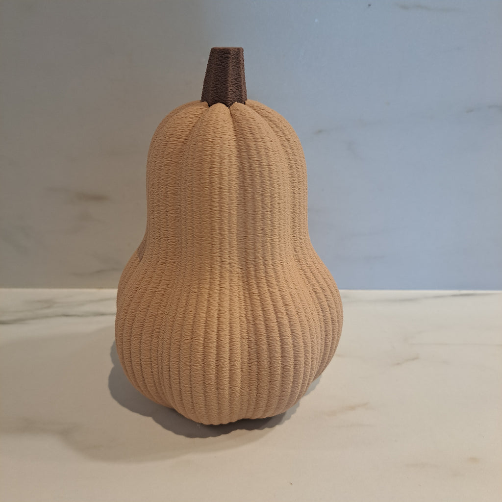 Butternutpumpa liten - dekoration