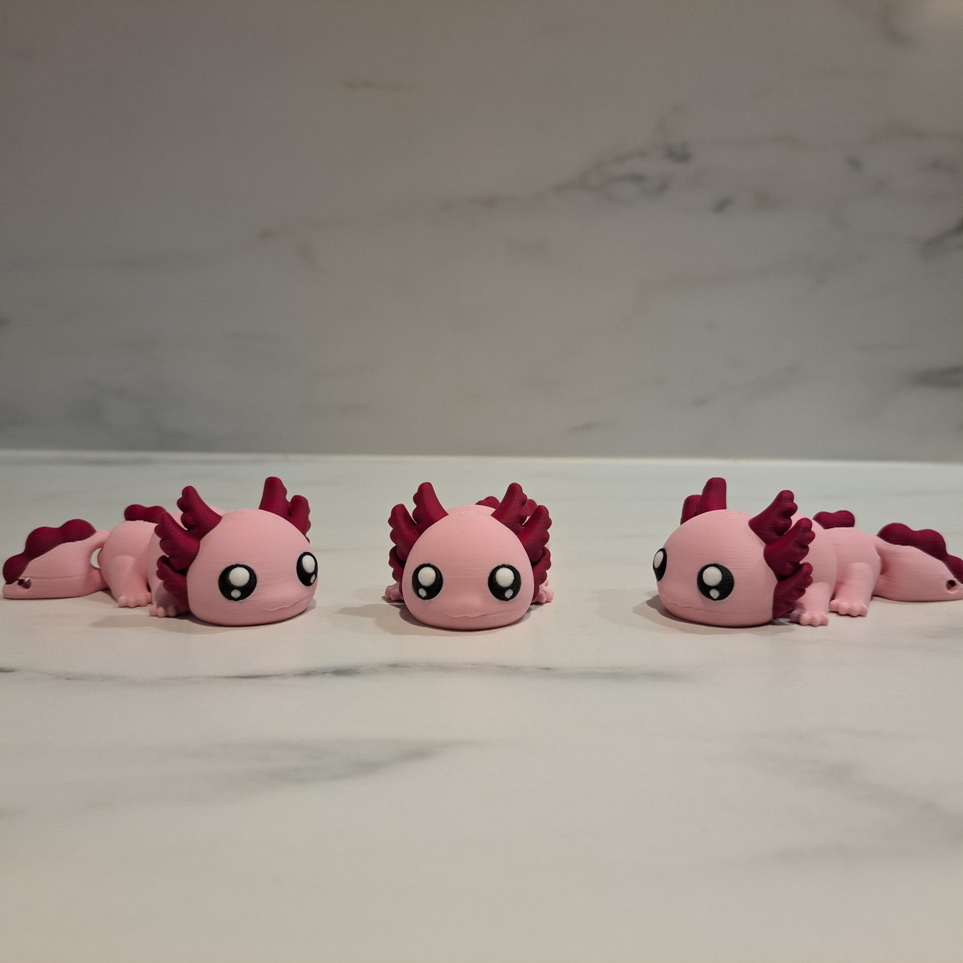 Axolotl