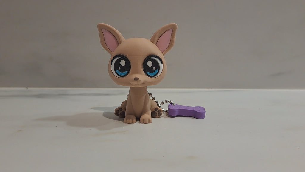 Chihuahua - klicker